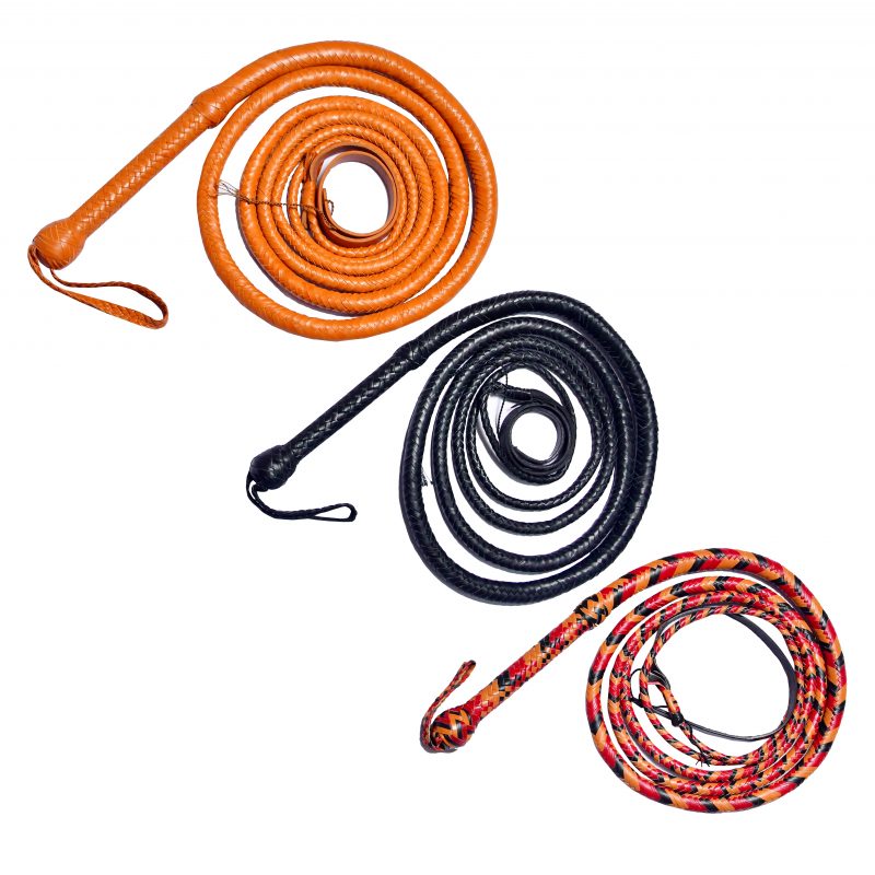 Bullwhip